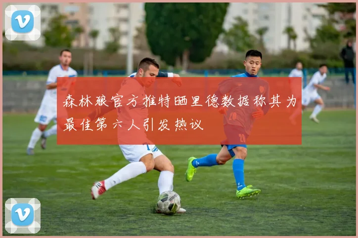 森林狼官方推特晒里德数据称其为最佳第六人引发热议